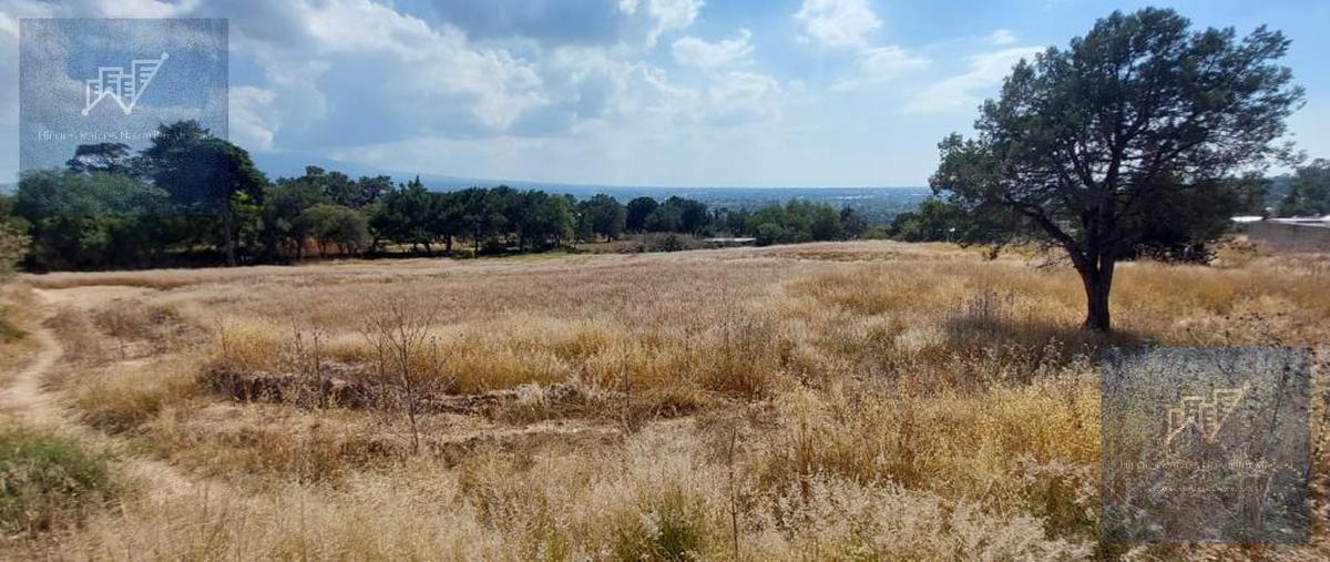 Foto de terreno habitacional en venta en  , amaxac de guerrero, amaxac de guerrero, tlaxcala, 0 No. 04