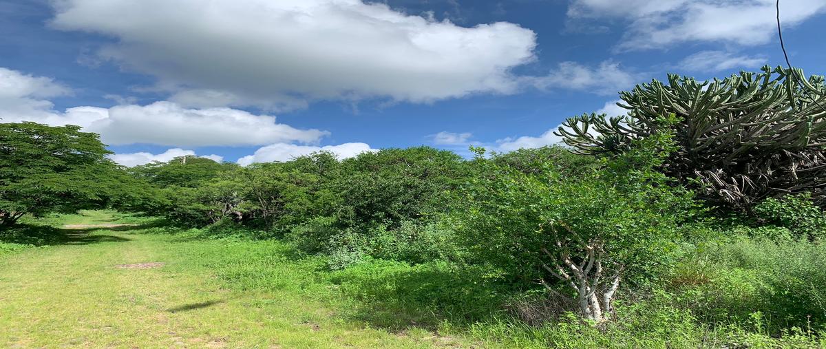 Foto de terreno habitacional en , amazcala, el marqués, querétaro, 0 foto 04 Foto de terreno habitacional en venta en , amazcala, el marqués, querétaro, 0 No. 04