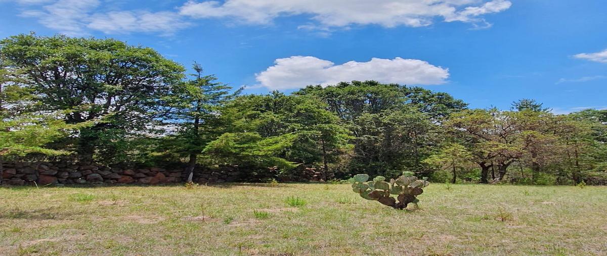 Foto de terreno habitacional en venta en amealco , amealco de bonfil centro, amealco de bonfil, querétaro, 31062570 No. 06