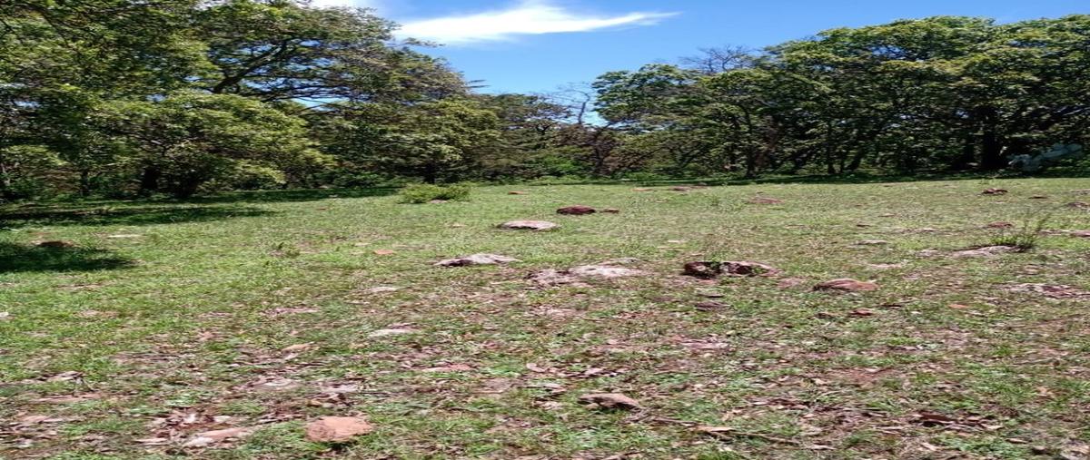 Foto de terreno habitacional en venta en  , amealco de bonfil centro, amealco de bonfil, querétaro, 0 No. 03
