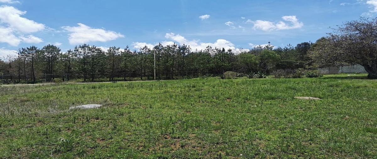 Foto de terreno habitacional en , amealco de bonfil centro, amealco de bonfil, querétaro, 0 foto 05 Foto de terreno habitacional en venta en , amealco de bonfil centro, amealco de bonfil, querétaro, 0 No. 05