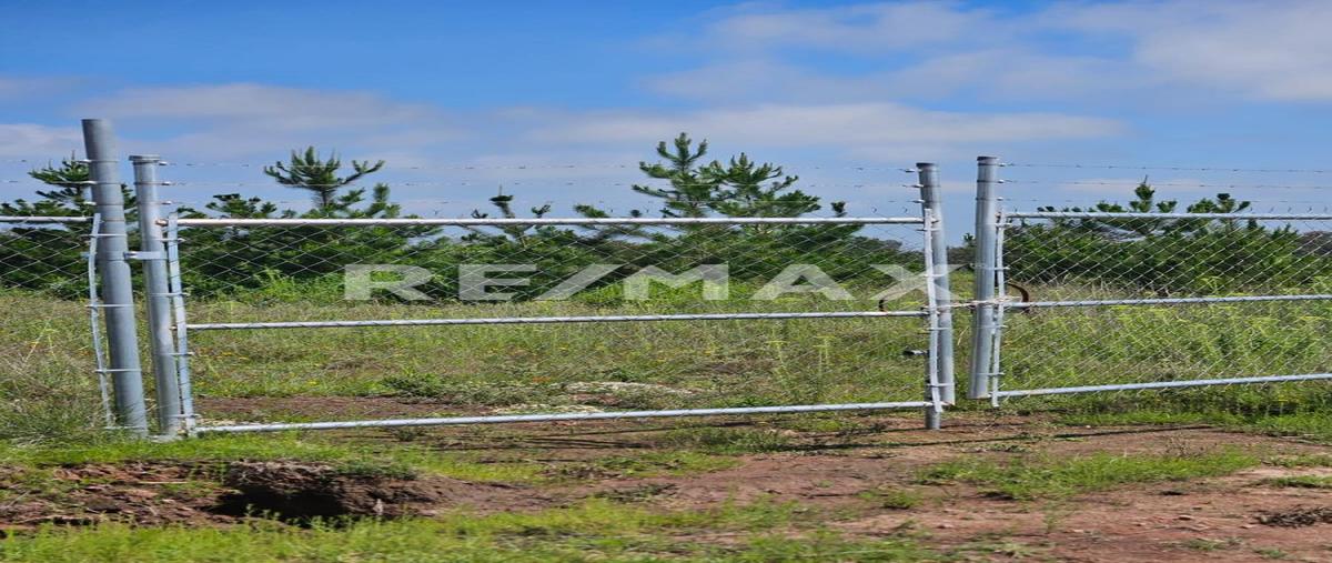 Foto de rancho en venta en amealco , las delicias, amealco de bonfil, querétaro, 0 No. 04