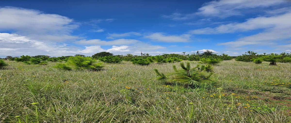 Foto de rancho en venta en amealco , las delicias, amealco de bonfil, querétaro, 30034577 No. 05