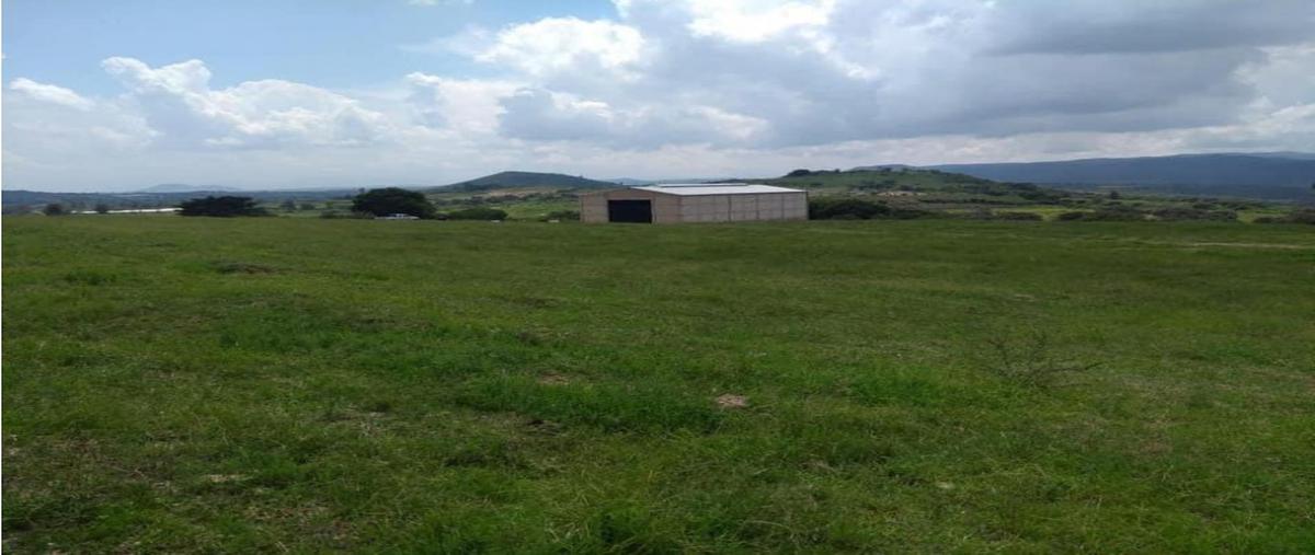 Foto de terreno habitacional en venta en  , ameca centro, ameca, jalisco, 0 No. 03