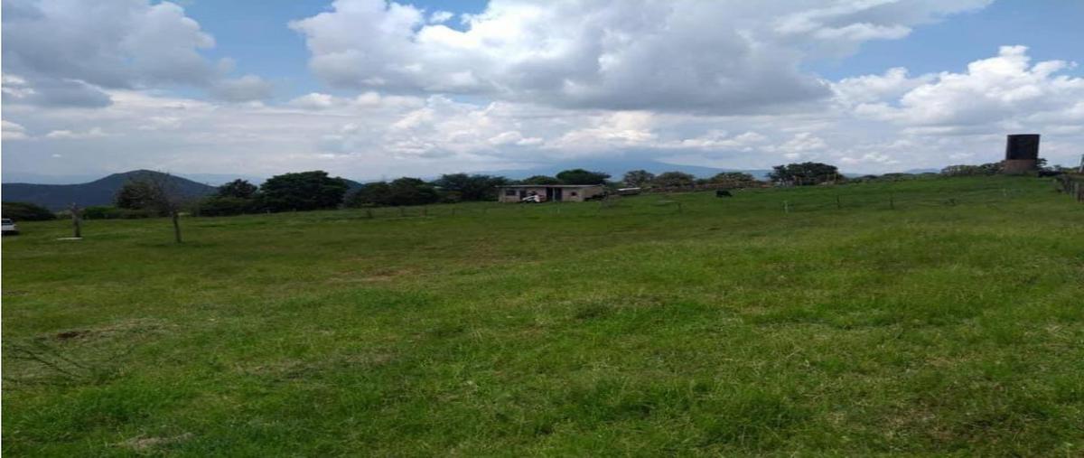 Foto de terreno habitacional en venta en  , ameca centro, ameca, jalisco, 0 No. 04