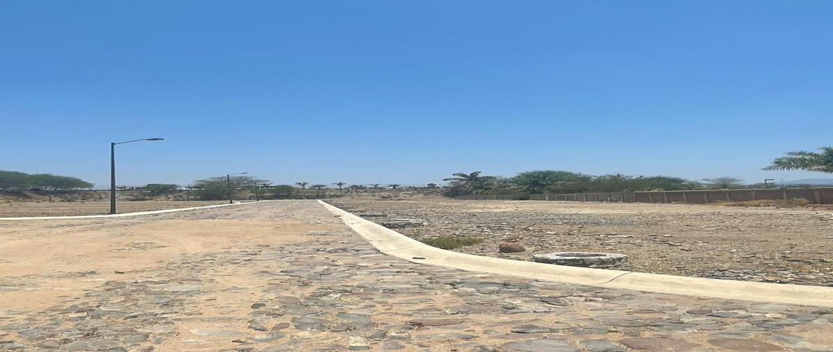 Foto de terreno habitacional en venta en  , ameca oriente, ameca, jalisco, 29290333 No. 05