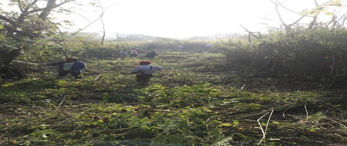 Foto de terreno habitacional en venta en  , américa libre, chiapa de corzo, chiapas, 28406654 No. 03