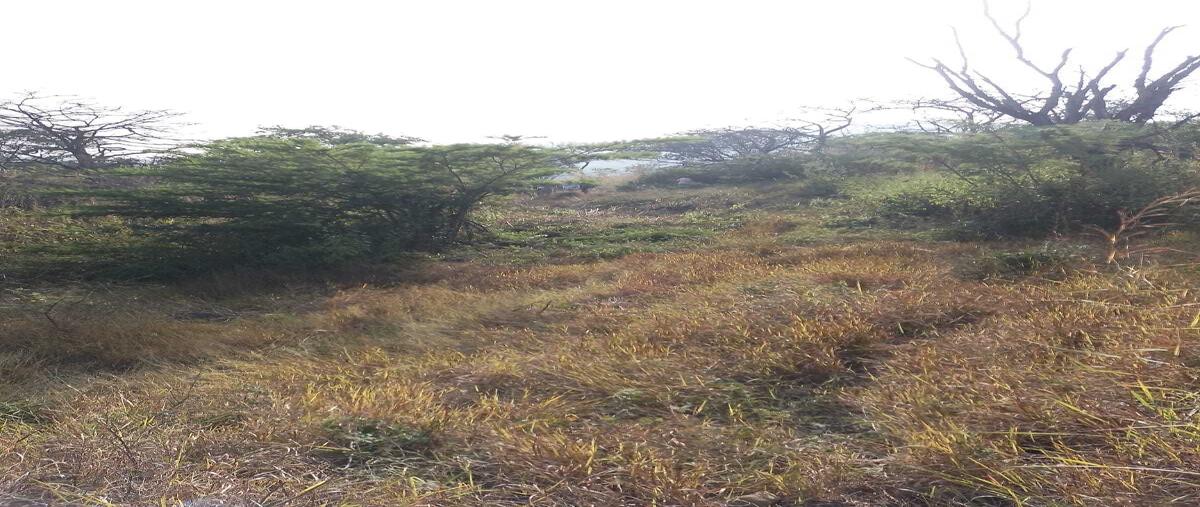 Foto de terreno habitacional en venta en  , américa libre, chiapa de corzo, chiapas, 28406654 No. 05