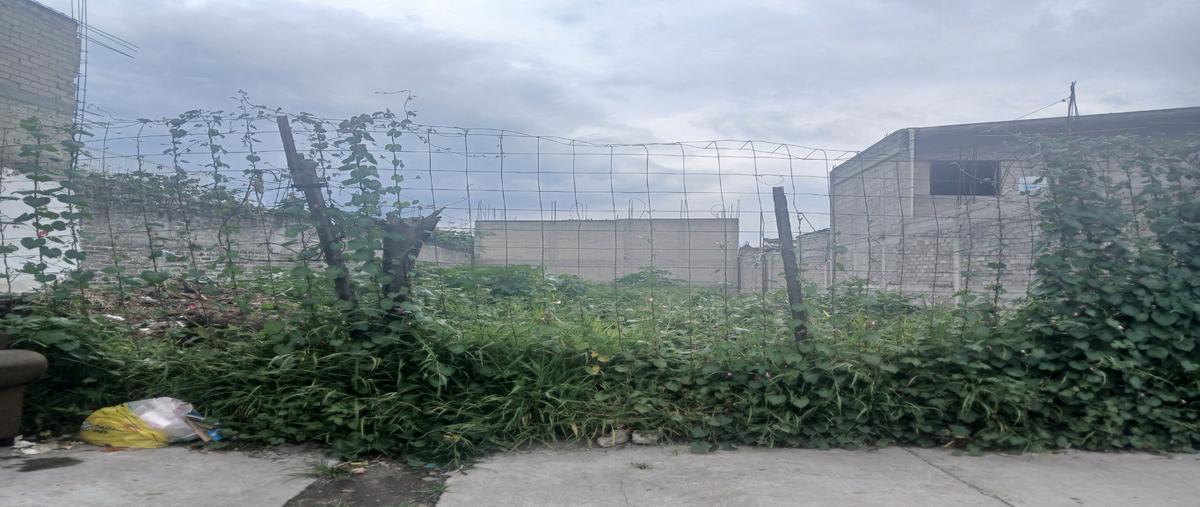 Foto de terreno habitacional en venta en  , américas ii sección, valle de chalco solidaridad, méxico, 0 No. 04