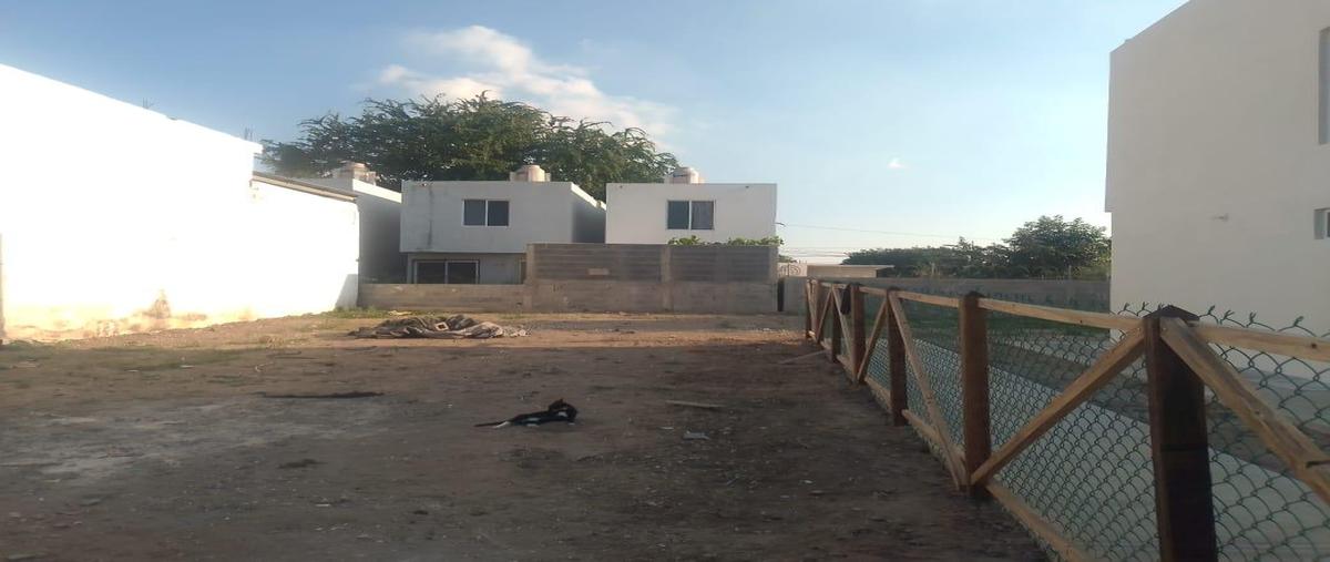 Foto de terreno habitacional en renta en  , américo villarreal, altamira, tamaulipas, 0 No. 03