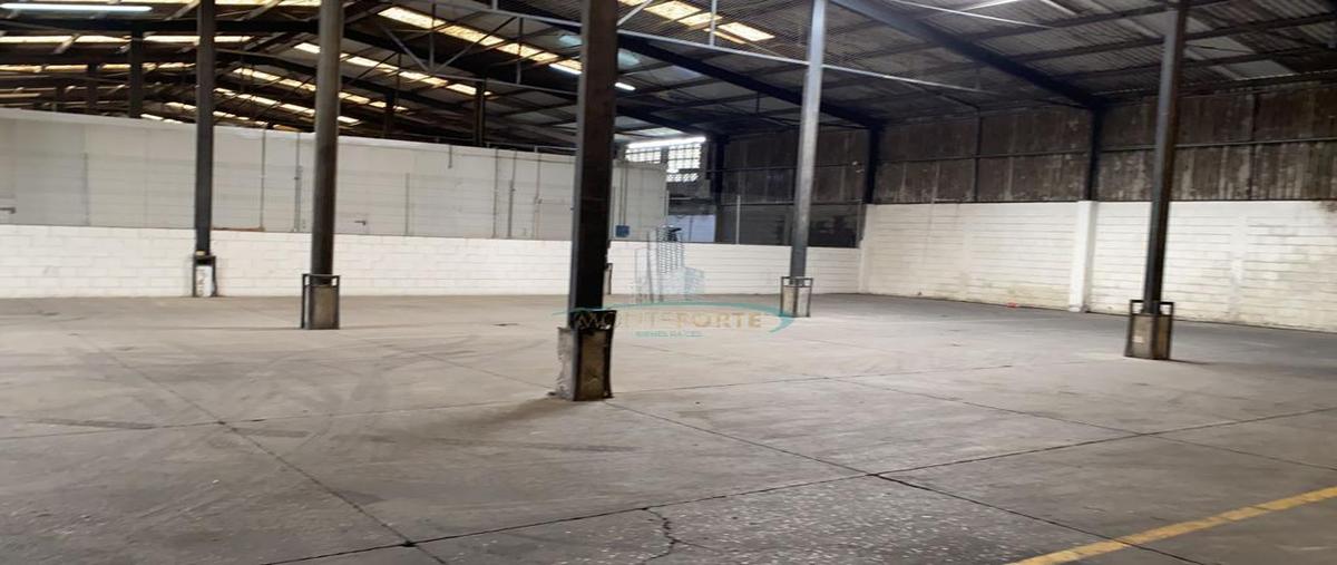 Foto de local en renta en  , américo villarreal, altamira, tamaulipas, 0 No. 05