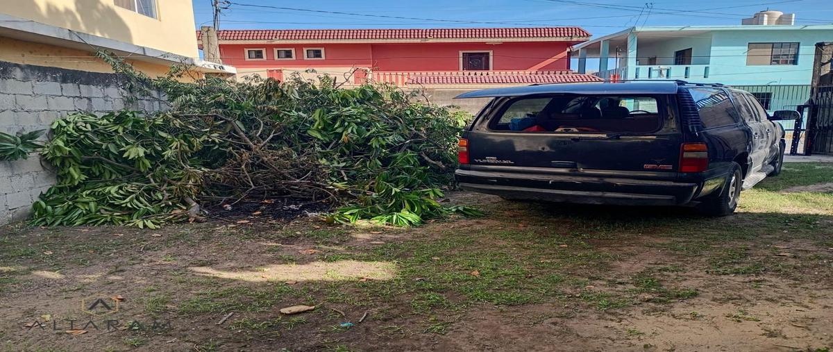 Foto de terreno habitacional en venta en  , américo villarreal, altamira, tamaulipas, 31471305 No. 03