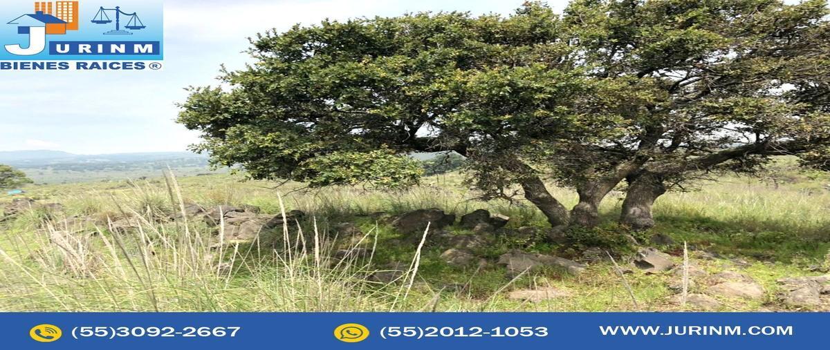 Foto de terreno industrial en venta en  , amilco, tenango del aire, méxico, 22008396 No. 04