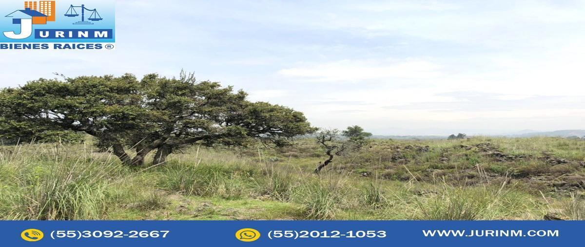 Foto de terreno industrial en venta en  , amilco, tenango del aire, méxico, 22008396 No. 05