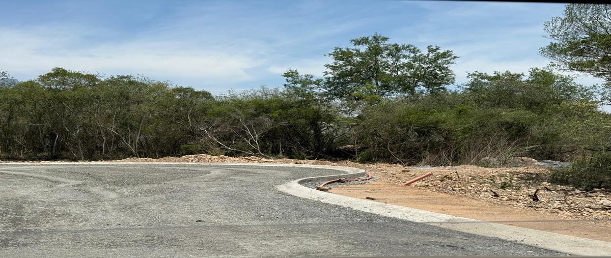 Foto de terreno habitacional en venta en  , amorada privada residencial, santiago, nuevo león, 0 No. 04
