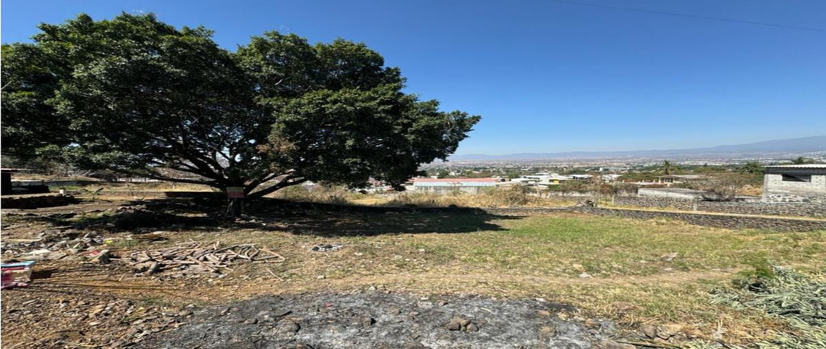 Foto de terreno habitacional en venta en  , ampliación 3 de mayo, emiliano zapata, morelos, 0 No. 03