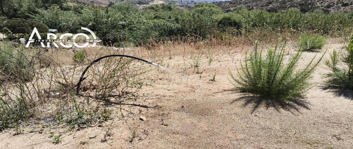 Foto de terreno habitacional en venta en  , ampliación 89, ensenada, baja california, 29871783 No. 04