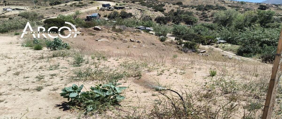 Foto de terreno habitacional en venta en  , ampliación 89, ensenada, baja california, 29871783 No. 05