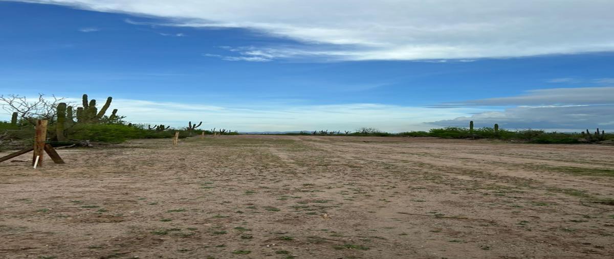 Foto de terreno habitacional en venta en  , ampliación centenario, la paz, baja california sur, 0 No. 05