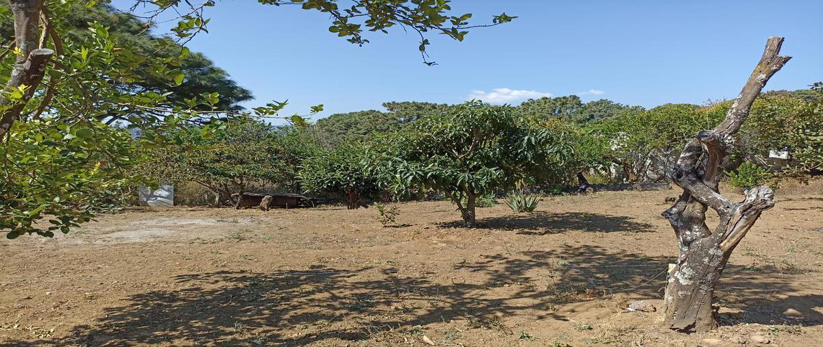 Foto de terreno habitacional en venta en  , ampliación chamilpa, cuernavaca, morelos, 0 No. 01
