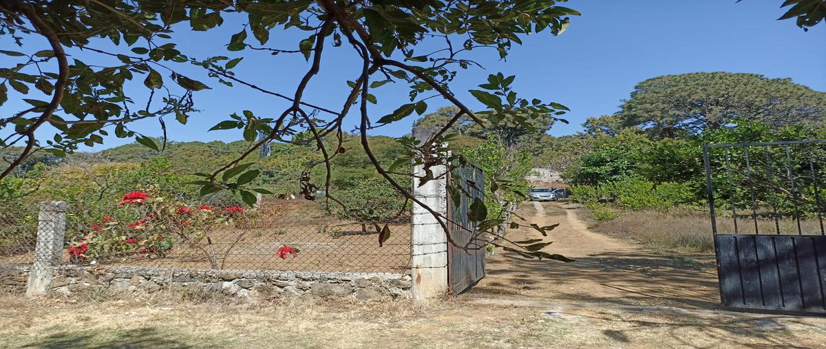 Foto de terreno habitacional en venta en  , ampliación chamilpa, cuernavaca, morelos, 0 No. 04