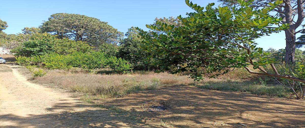 Foto de terreno habitacional en venta en  , ampliación chamilpa, cuernavaca, morelos, 0 No. 05
