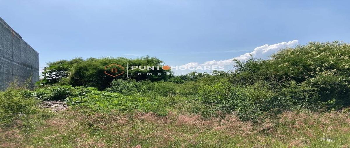 Foto de terreno habitacional en venta en  , ampliación de san isidro itzícuaro, morelia, michoacán de ocampo, 29867097 No. 03