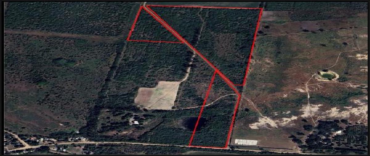 Foto de rancho en venta en  , ampliación el arenal, altamira, tamaulipas, 0 No. 04