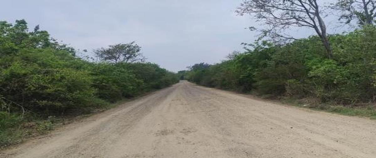 Foto de rancho en venta en  , ampliación el arenal, altamira, tamaulipas, 0 No. 05