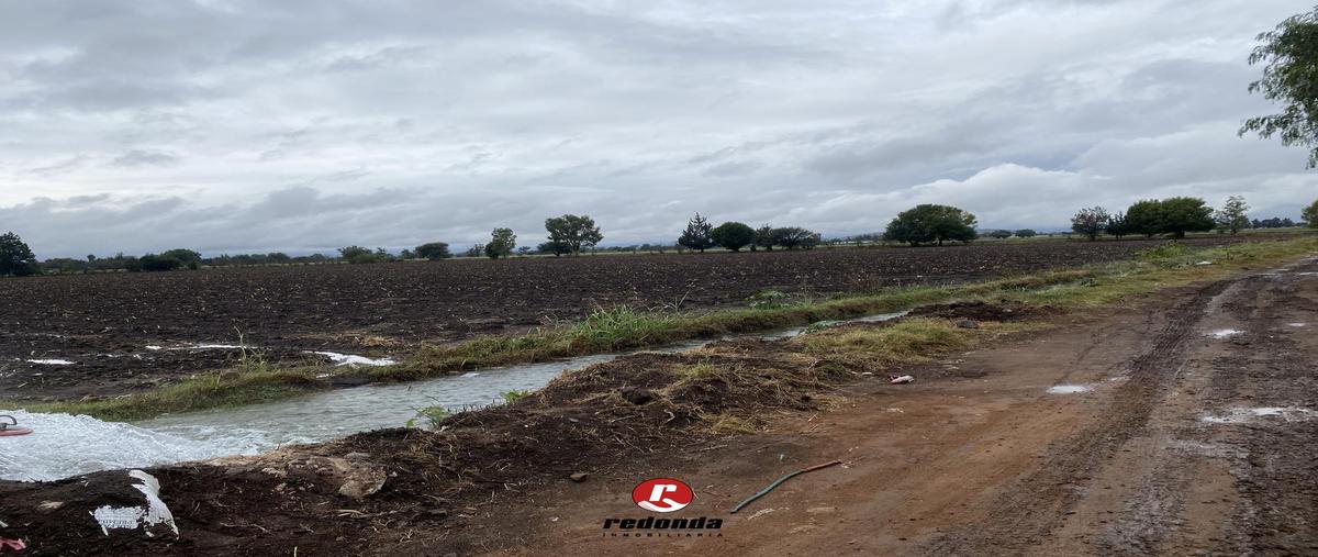 Foto de terreno habitacional en venta en  , ampliación el blanco, colón, querétaro, 0 No. 04