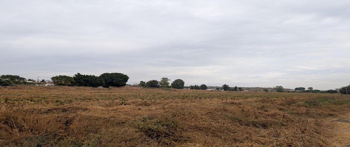 Foto de terreno habitacional en venta en  , ampliación el cerrito, salamanca, guanajuato, 0 No. 04