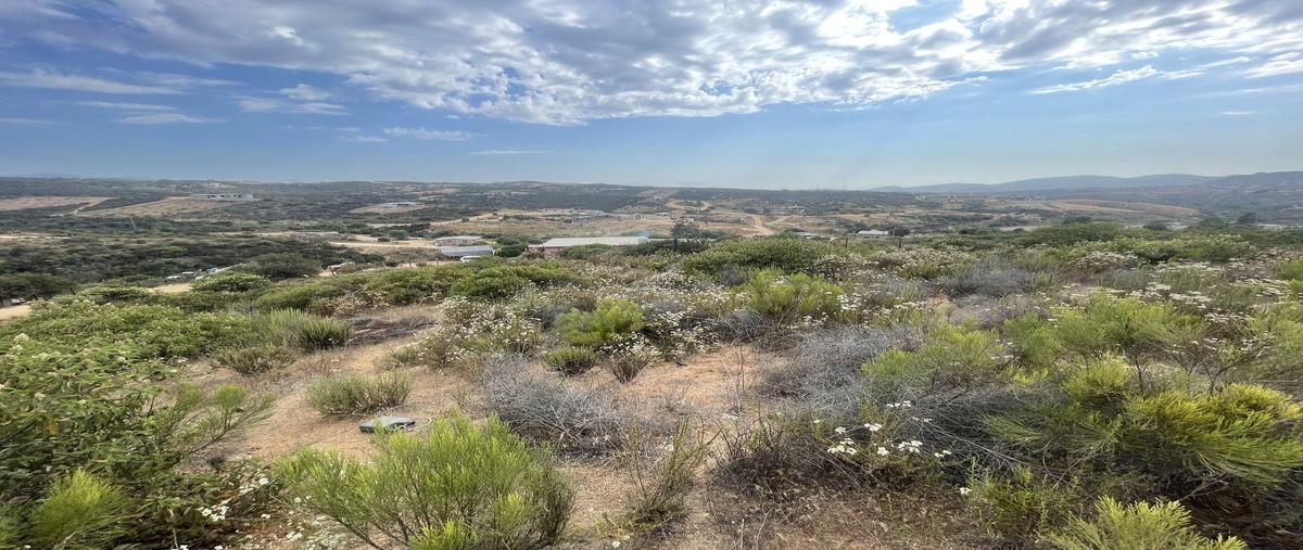 Foto de terreno habitacional en venta en  , ampliación gómez morín, ensenada, baja california, 28400950 No. 05