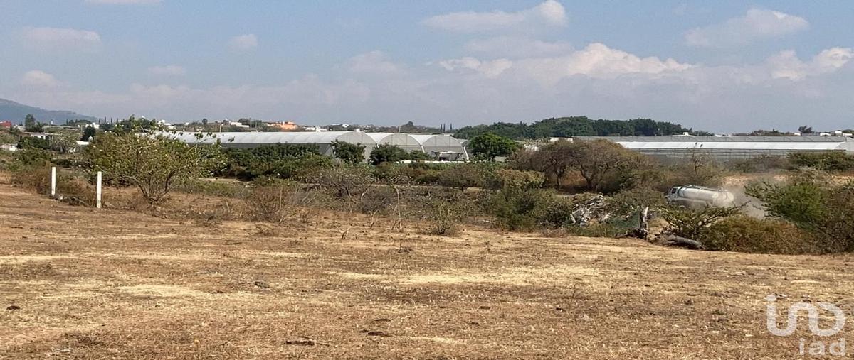 Foto de terreno habitacional en venta en ampliación las golondrinas , san sebastián, atlatlahucan, morelos, 29894653 No. 03