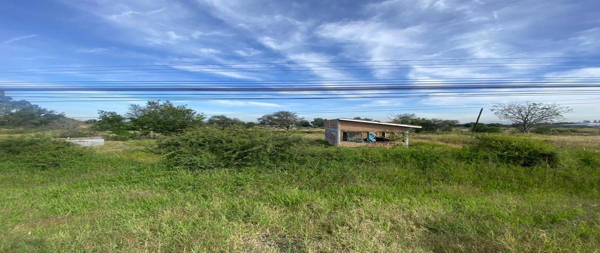 Foto de terreno habitacional en renta en  , ampliación los ángeles, corregidora, querétaro, 25600886 No. 04