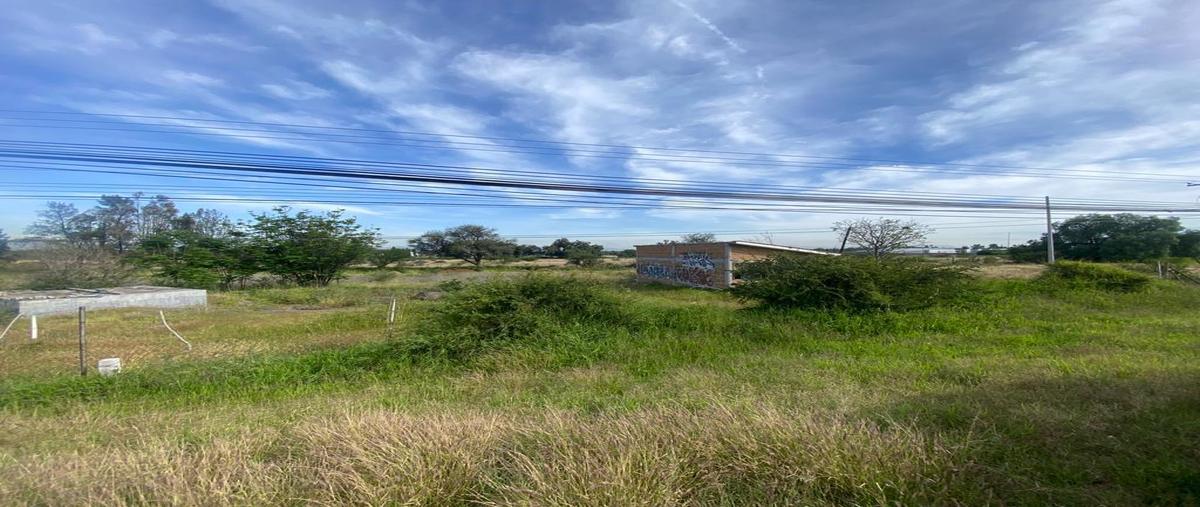 Foto de terreno habitacional en renta en  , ampliación los ángeles, corregidora, querétaro, 25600886 No. 05