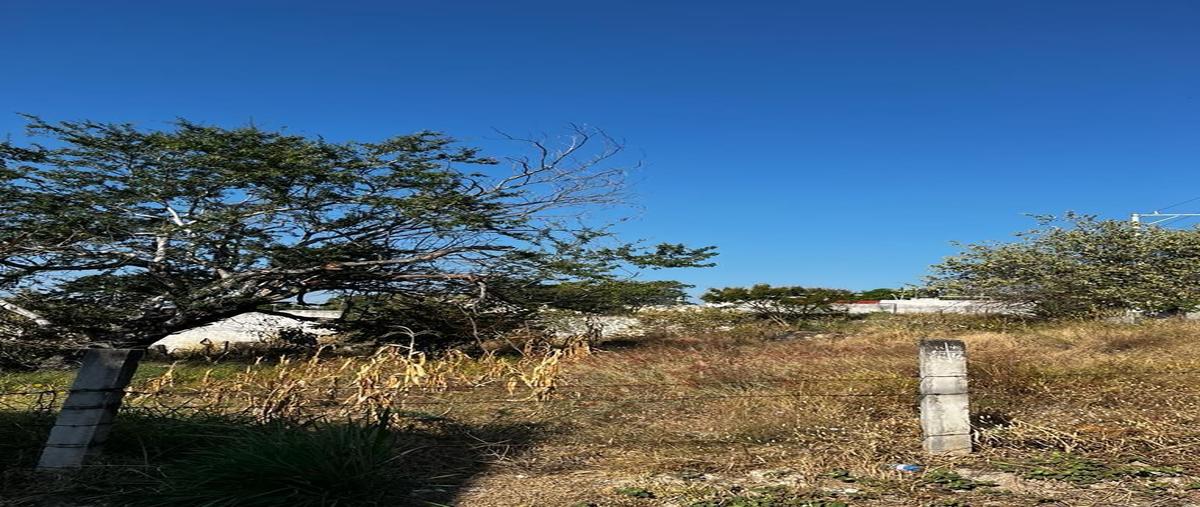 Foto de terreno habitacional en venta en ampliación miguel hidalgo , miguel hidalgo, xochitepec, morelos, 27517098 No. 02