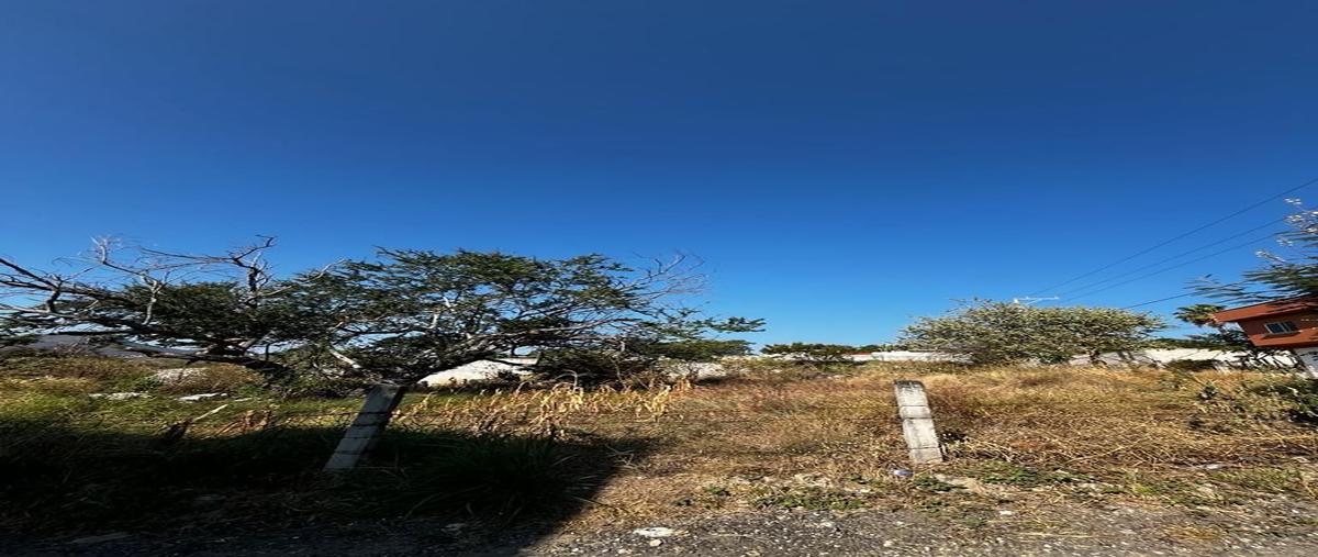 Foto de terreno habitacional en venta en ampliación miguel hidalgo , miguel hidalgo, xochitepec, morelos, 27517098 No. 03