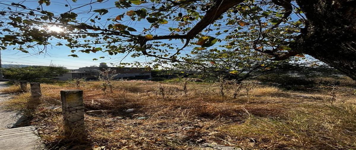 Foto de terreno habitacional en venta en ampliación miguel hidalgo , miguel hidalgo, xochitepec, morelos, 27517098 No. 04