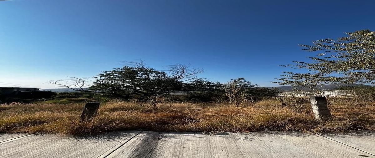 Foto de terreno habitacional en venta en ampliación miguel hidalgo , miguel hidalgo, xochitepec, morelos, 27517098 No. 05