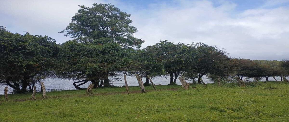 Foto de terreno habitacional en venta en  , ampliación nor-oeste la huerta, morelia, michoacán de ocampo, 28651663 No. 04
