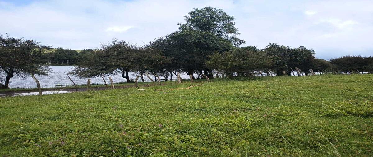 Foto de terreno habitacional en venta en  , ampliación nor-oeste la huerta, morelia, michoacán de ocampo, 28651663 No. 05