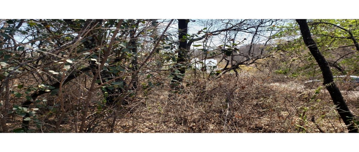 Foto de terreno habitacional en venta en  , ampliación san lorenzo, amozoc, puebla, 0 No. 05