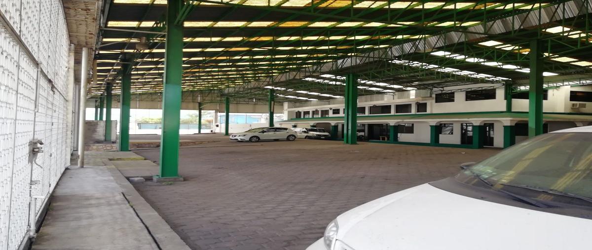 Foto de bodega en renta en  , ampliación satélite, cuernavaca, morelos, 14203246 No. 03