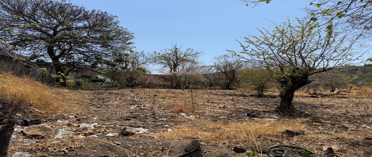 Foto de terreno habitacional en venta en  , ampliación tetillas, yautepec, morelos, 0 No. 04