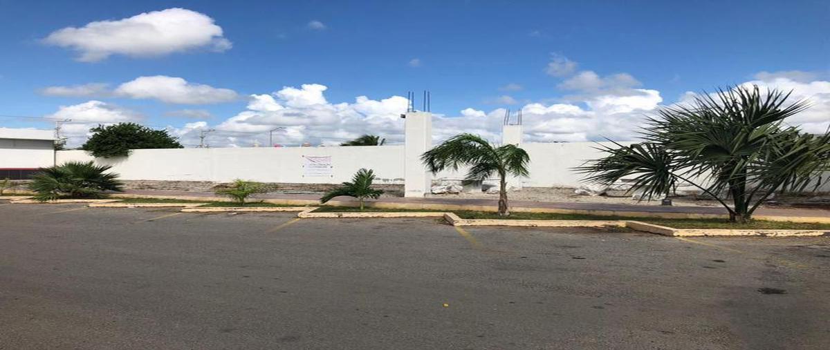 Foto de local en , ampliación tixcacal opichen, mérida, yucatán, 8027236 foto 02 Foto de local en venta en , ampliación tixcacal opichen, mérida, yucatán, 8027236 No. 02