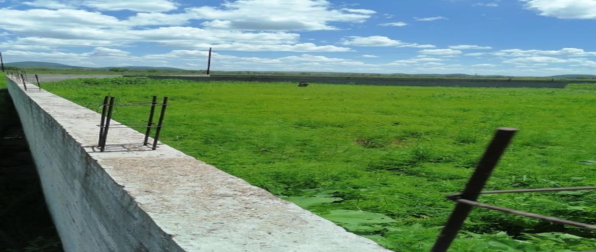 Foto de terreno habitacional en venta en  , anáhuac centro, cuauhtémoc, chihuahua, 23808855 No. 04