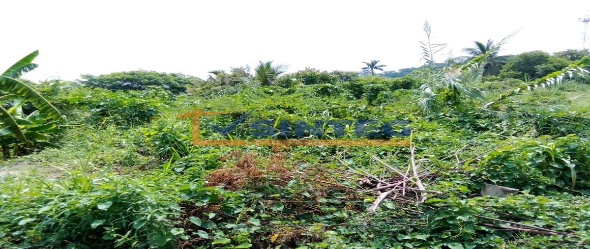 Foto de terreno habitacional en venta en  , anáhuac, poza rica de hidalgo, veracruz de ignacio de la llave, 0 No. 05