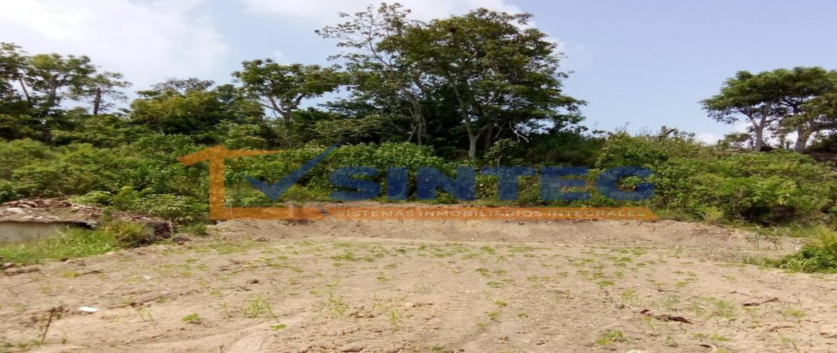 Foto de terreno habitacional en venta en  , anáhuac, poza rica de hidalgo, veracruz de ignacio de la llave, 0 No. 04