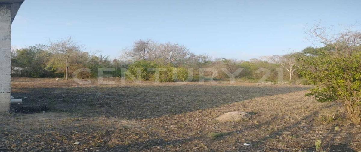 Foto de terreno habitacional en venta en  , anáhuac, pueblo viejo, veracruz de ignacio de la llave, 0 No. 04