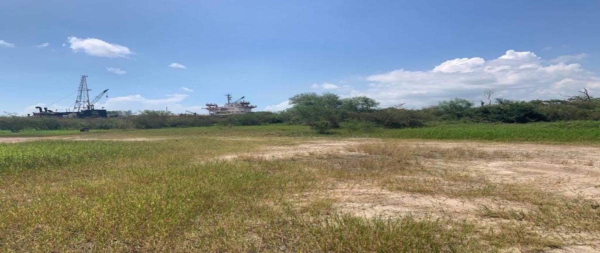 Foto de terreno habitacional en venta en  , anáhuac, pueblo viejo, veracruz de ignacio de la llave, 30137549 No. 04